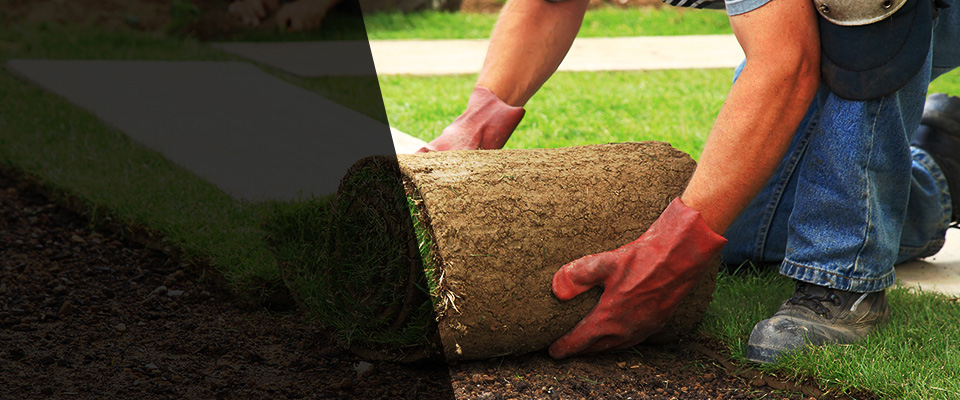 East Setauket Landscapers